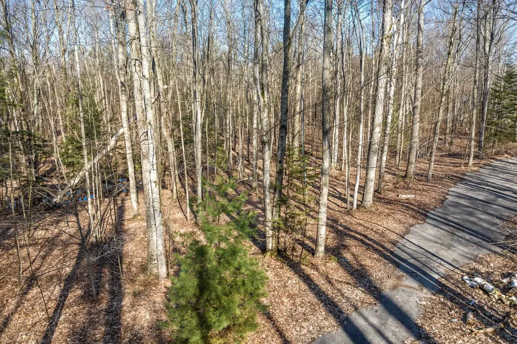 #12 Aspen Trail Torch Lake Township MI 49648