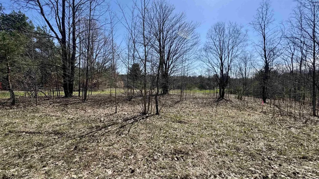 00 N 1 Road Wexford Township MI 49620