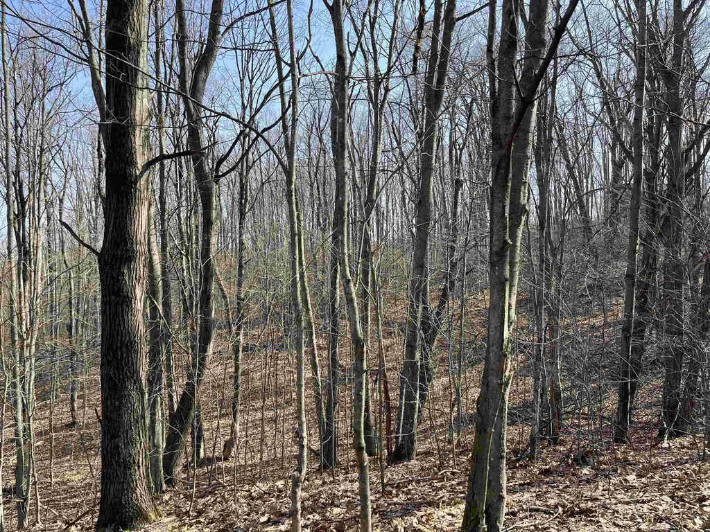 Deerfield Trail Melrose Township MI 49713
