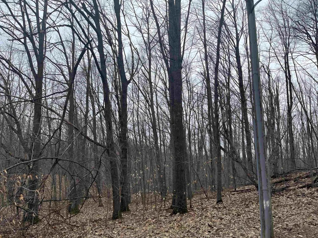 Deerfield Trail Melrose Township MI 49713