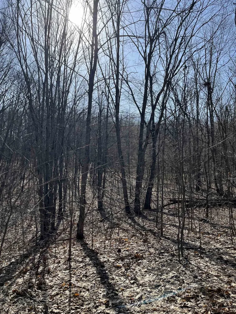 Deerfield Trail Melrose Township MI 49713