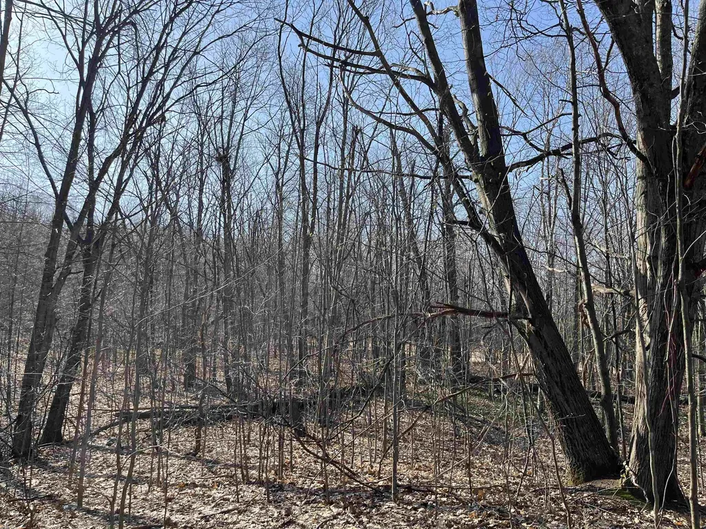 Deerfield Trail Melrose Township MI 49713