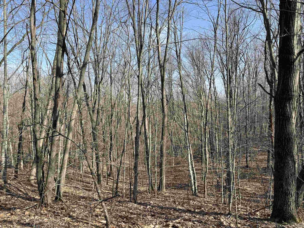 Deerfield Trail Melrose Township MI 49713