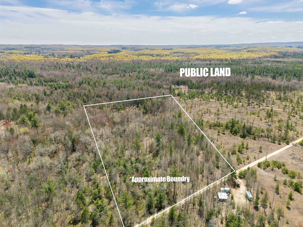 Vl Kolarvic Road Greenwood Township MI 49663