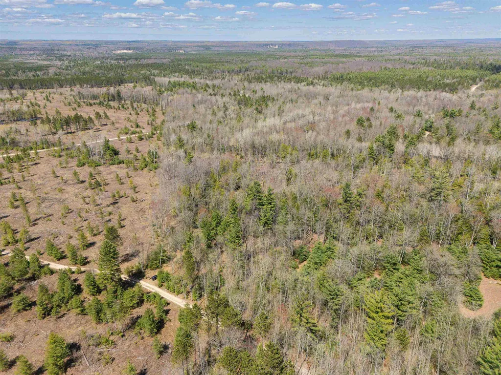 Vl Kolarvic Road Greenwood Township MI 49663