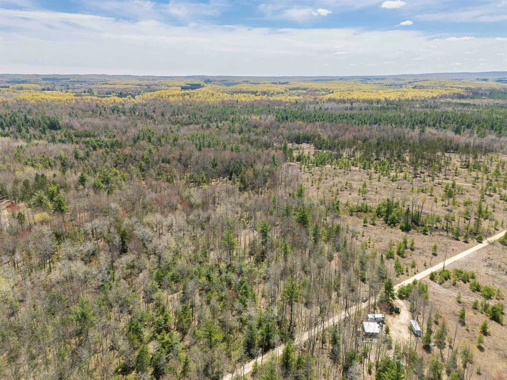 Vl Kolarvic Road Greenwood Township MI 49663