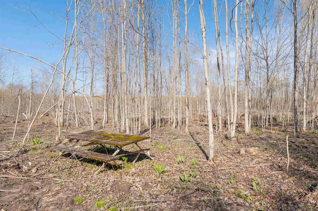 9808/9784 SE Crouch Road Garfield Township MI 49633