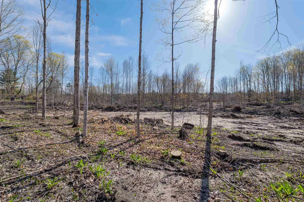 9808/9784 SE Crouch Road Garfield Township MI 49633