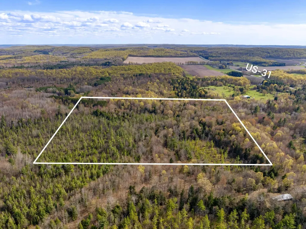 00 Benzie Highway Joyfield Township MI 49616