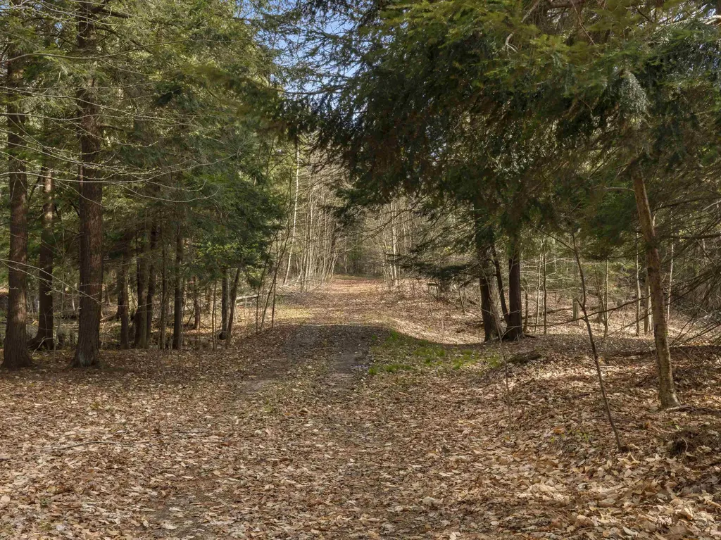 00 Benzie Highway Joyfield Township MI 49616