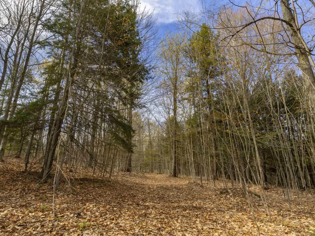 00 Benzie Highway Joyfield Township MI 49616