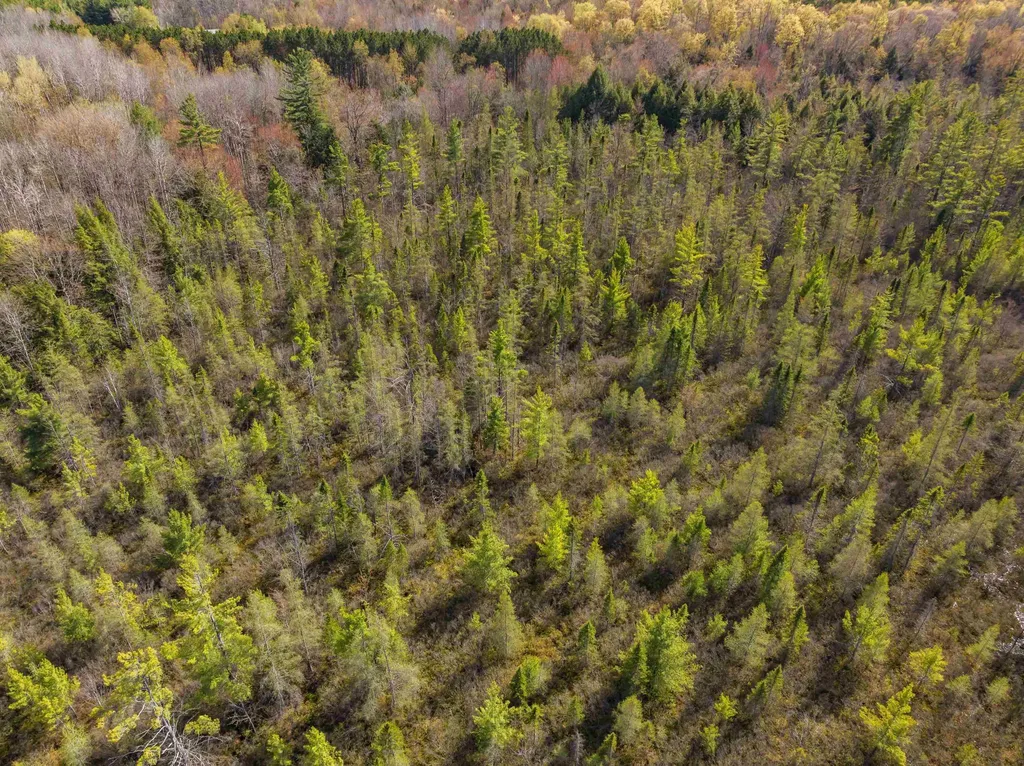00 Benzie Highway Joyfield Township MI 49616