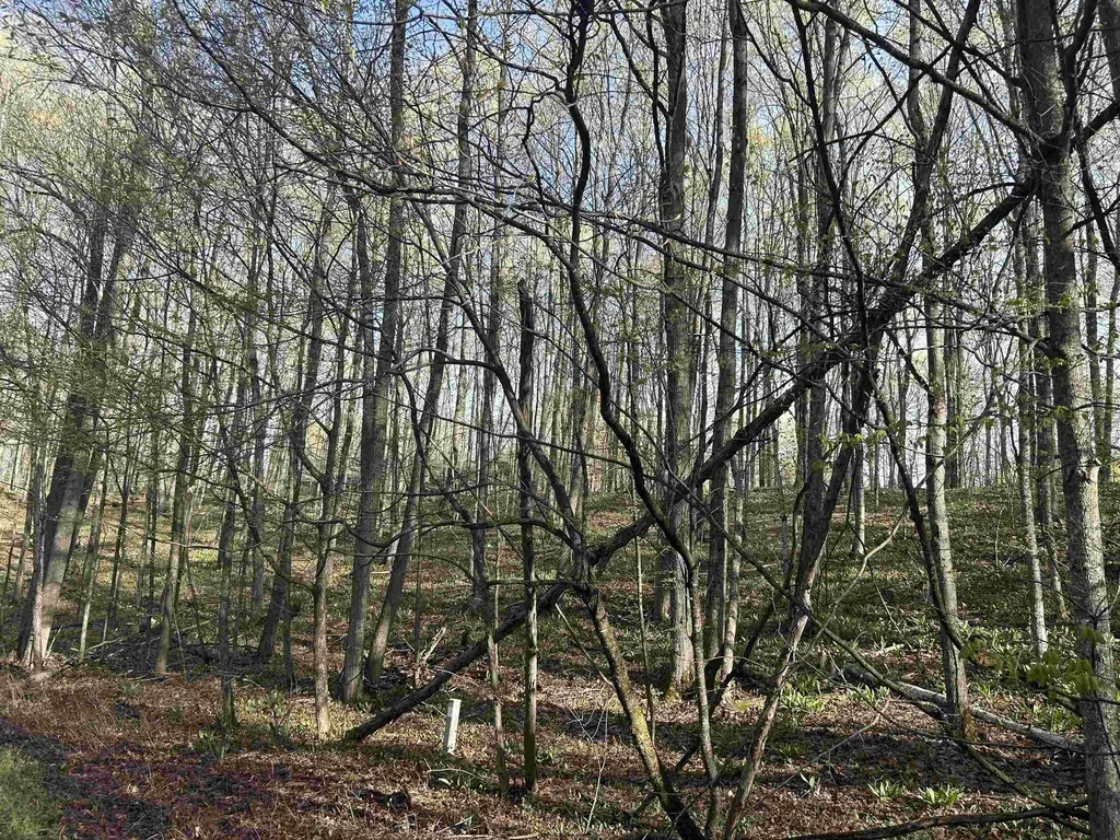 Lot 218 Hawks Eye Drive Kearney Township MI 49615