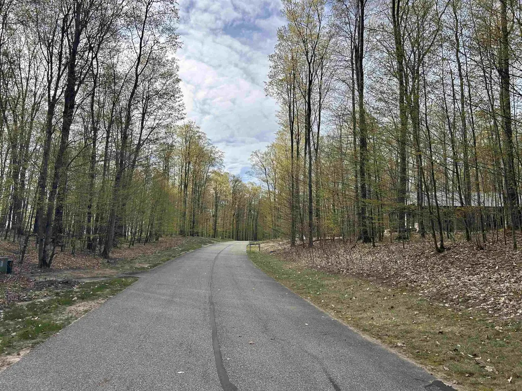 Lot 218 Hawks Eye Drive Kearney Township MI 49615