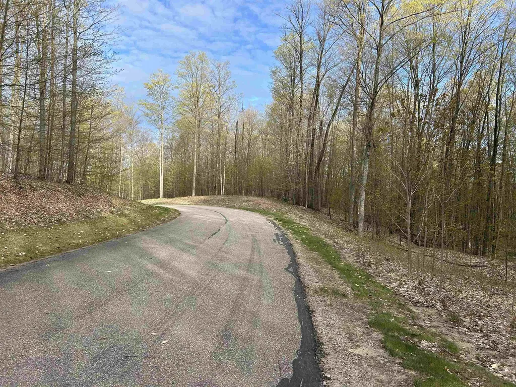 Lot 218 Hawks Eye Drive Kearney Township MI 49615