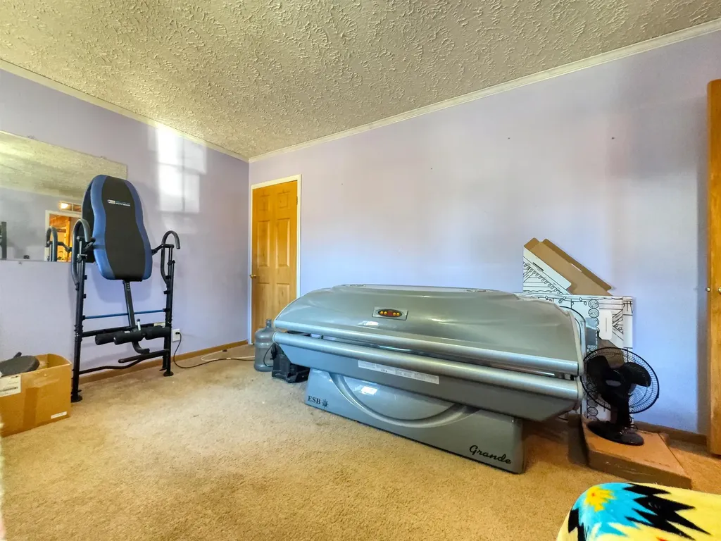 984 W Rose Meadow Drive Peacock Township MI 49656