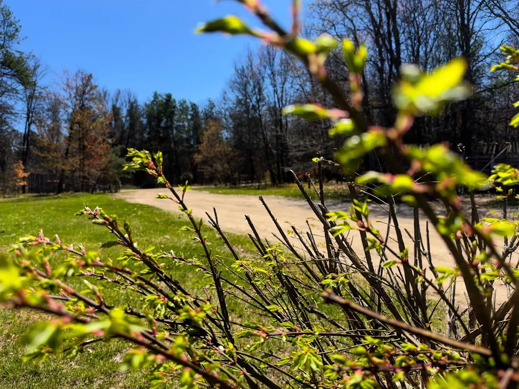 984 W Rose Meadow Drive Peacock Township MI 49656