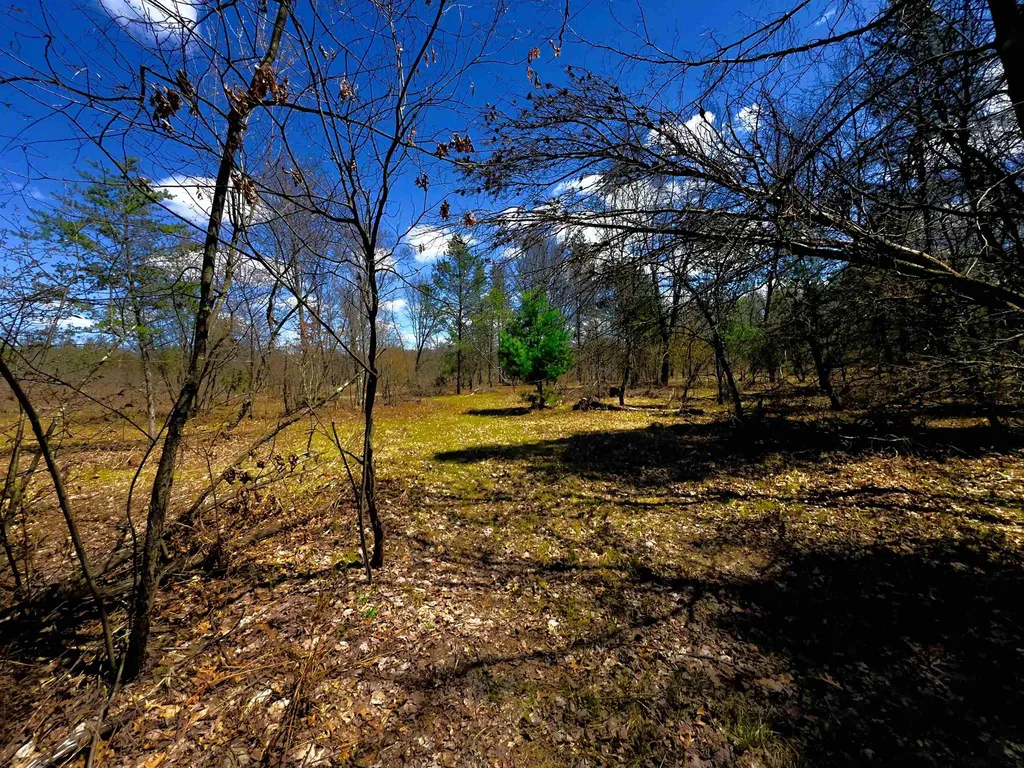 984 W Rose Meadow Drive Peacock Township MI 49656
