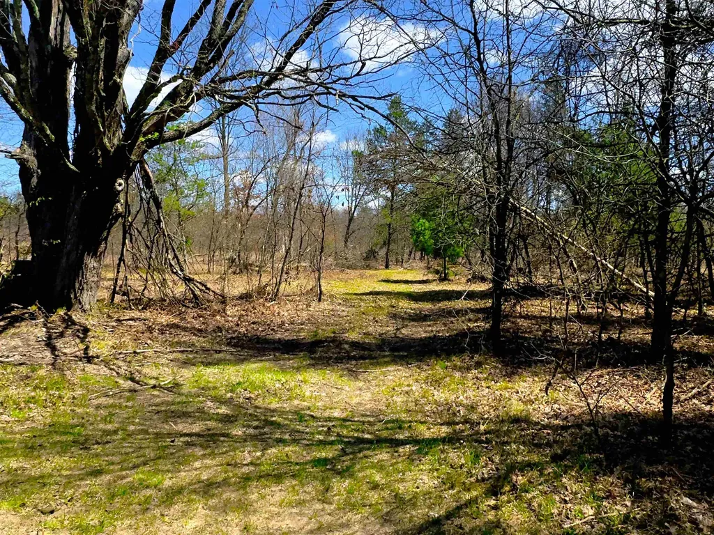 984 W Rose Meadow Drive Peacock Township MI 49656