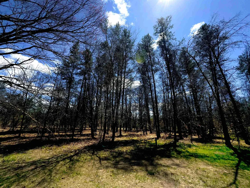984 W Rose Meadow Drive Peacock Township MI 49656