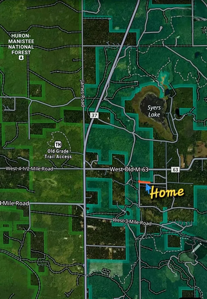 984 W Rose Meadow Drive Peacock Township MI 49656