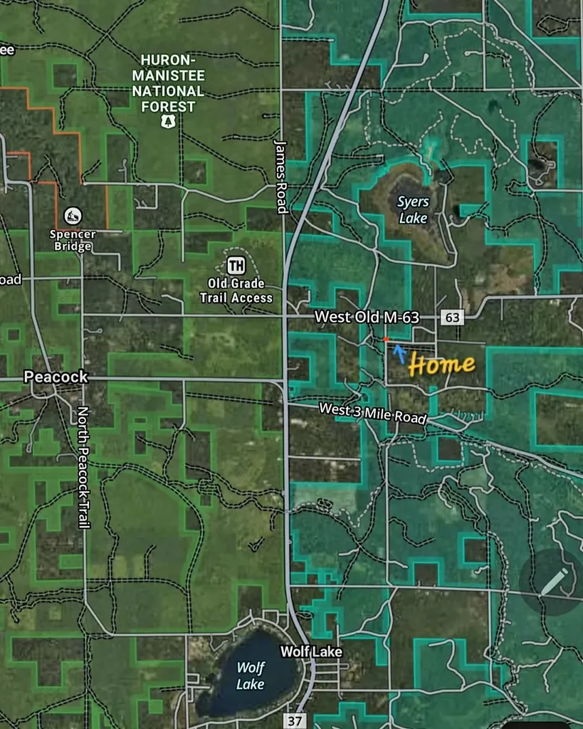 984 W Rose Meadow Drive Peacock Township MI 49656