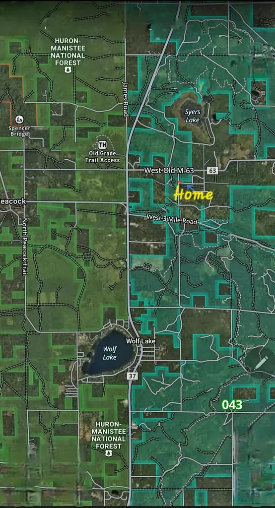 984 W Rose Meadow Drive Peacock Township MI 49656