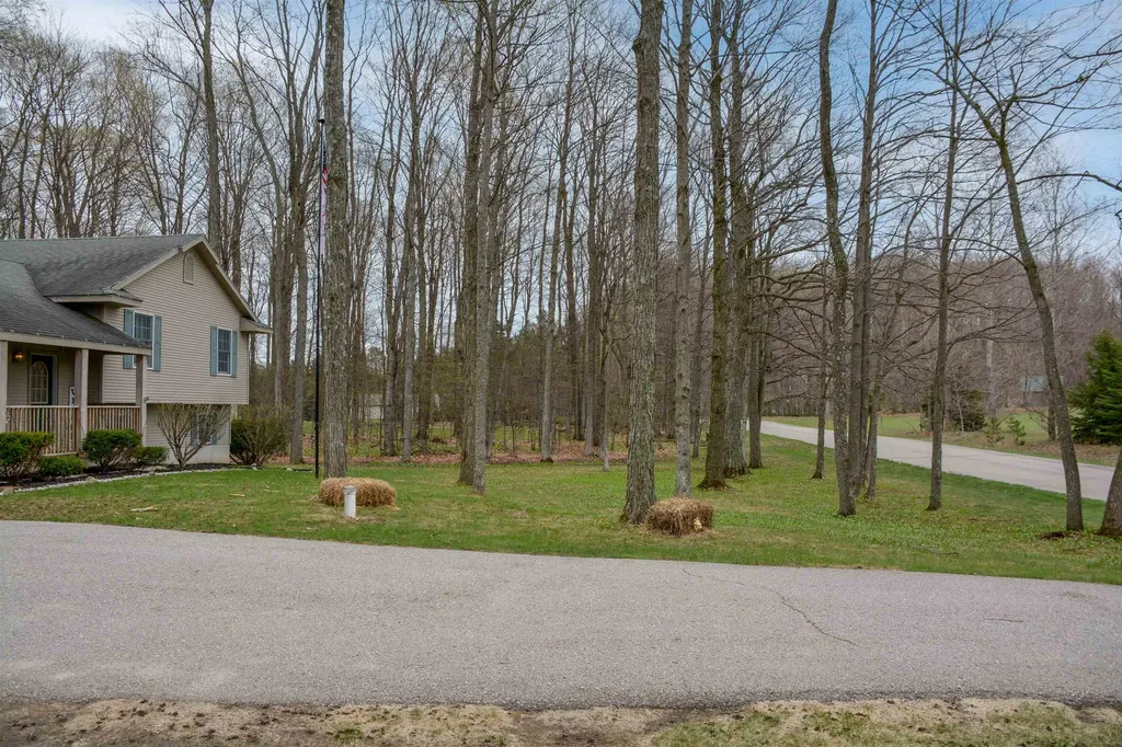 9814 Bobbys Trail Long Lake Township MI 49684