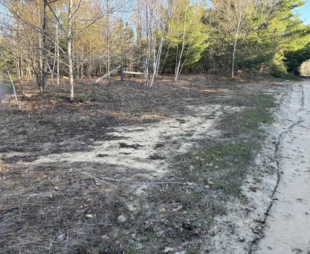00 Forward Forest Township MI 49651