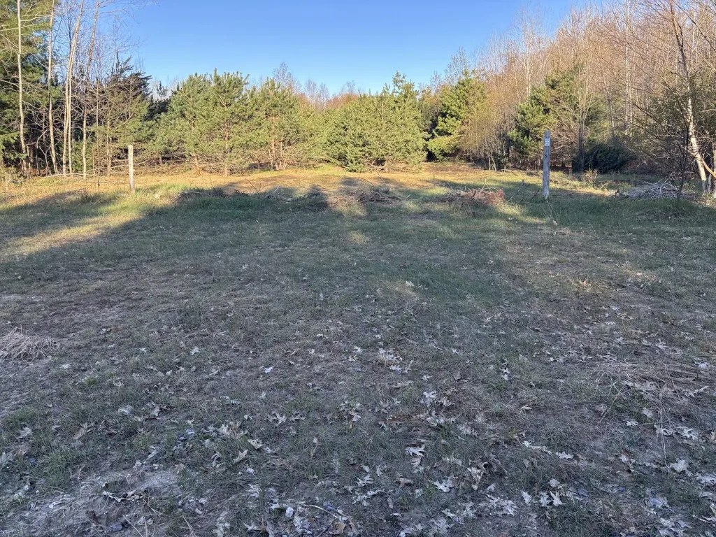 00 Forward Forest Township MI 49651