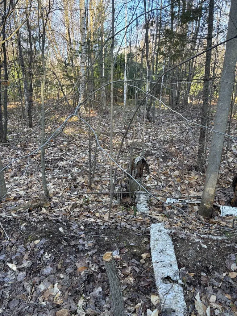 00 Forward Forest Township MI 49651