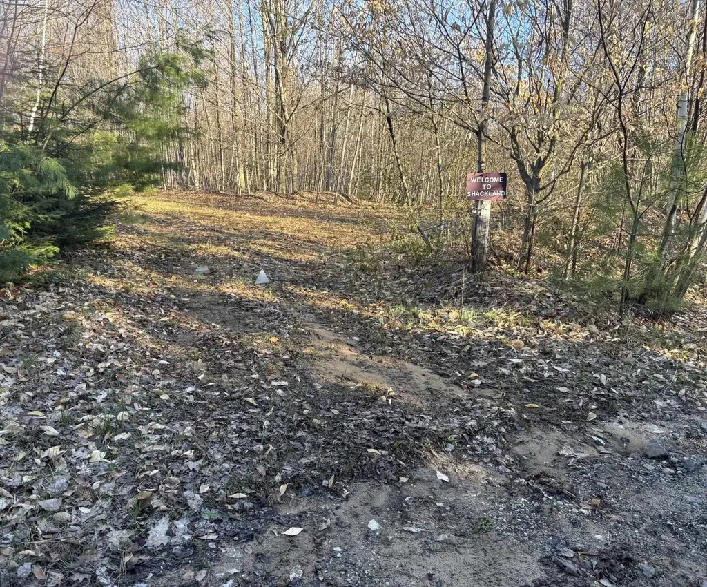 00 Forward Forest Township MI 49651