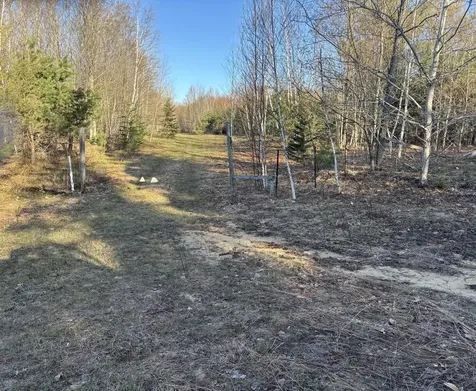 00 Forward Forest Township MI 49651