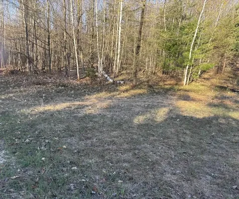00 Forward Forest Township MI 49651