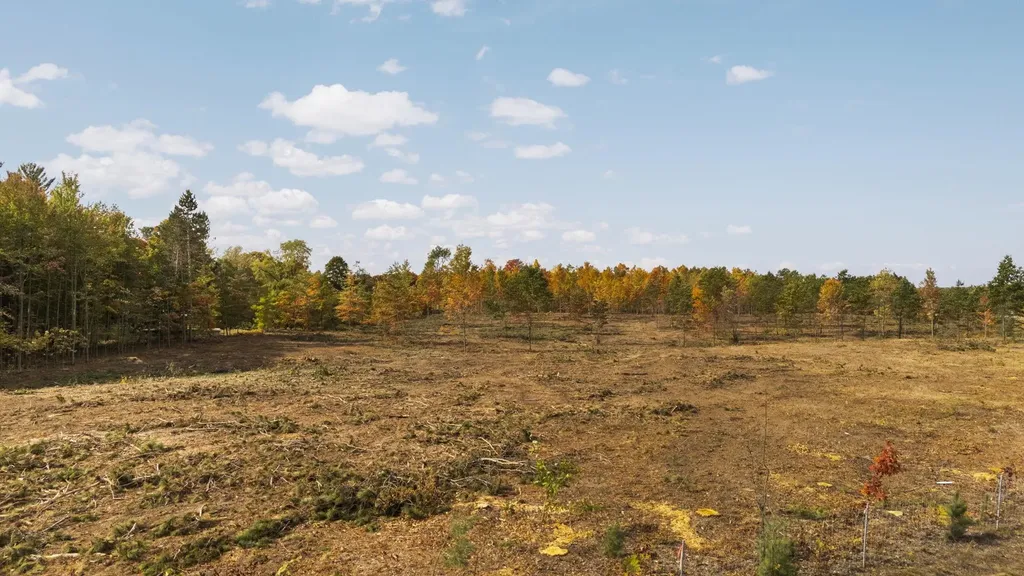 00 W M-115 Springville Township MI 49668