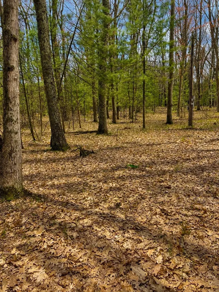 5302 Karlin Road Green Lake Township MI 49643