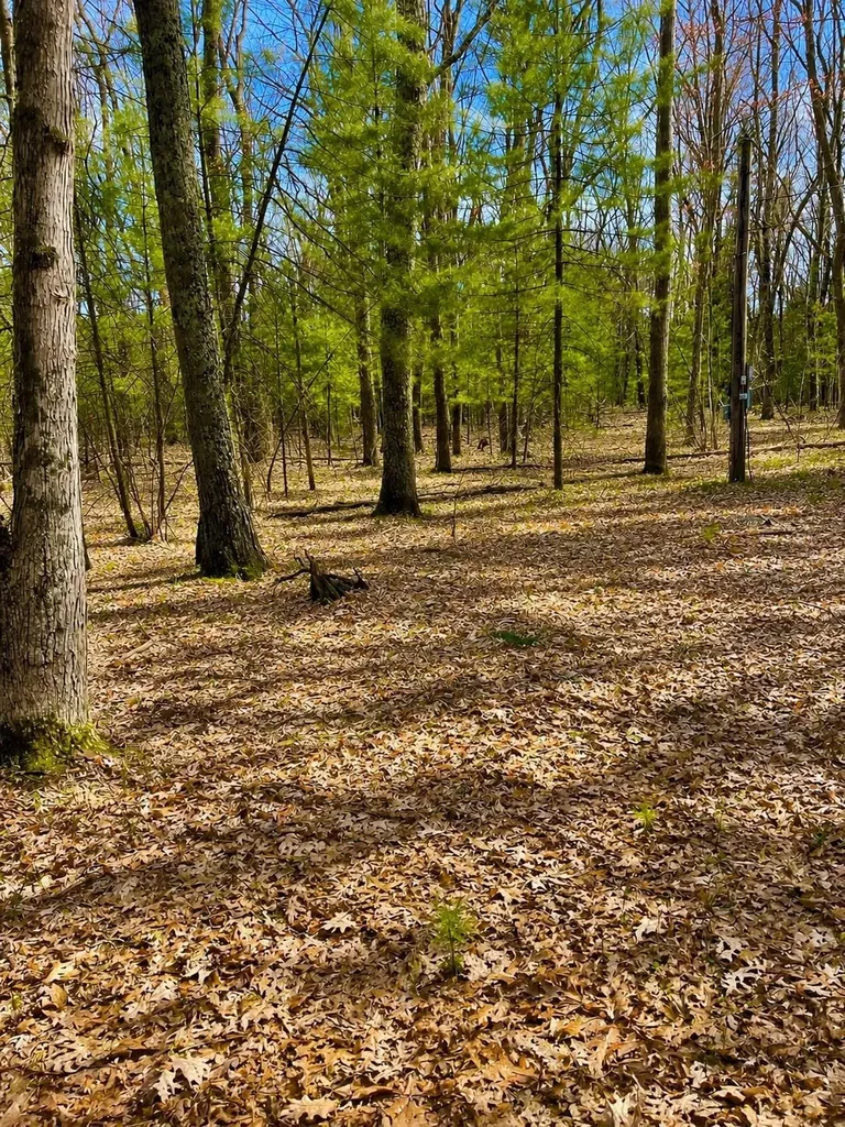 5302 Karlin Road Green Lake Township MI 49643