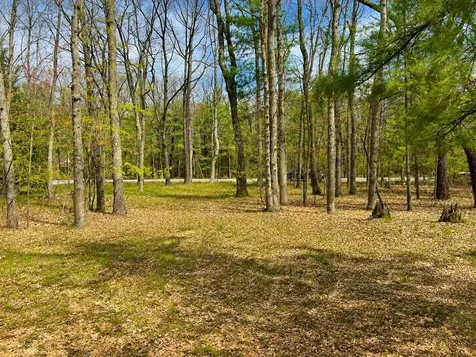 5302 Karlin Road Green Lake Township MI 49643