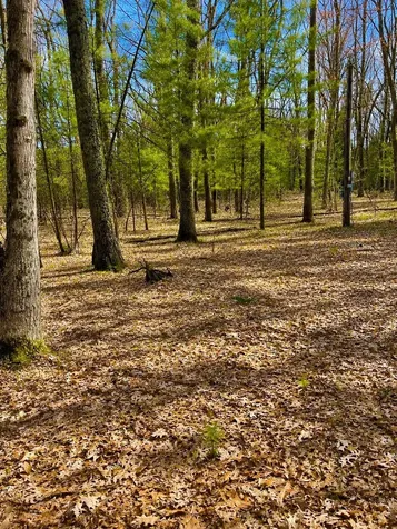 5302 Karlin Road Green Lake Township MI 49643