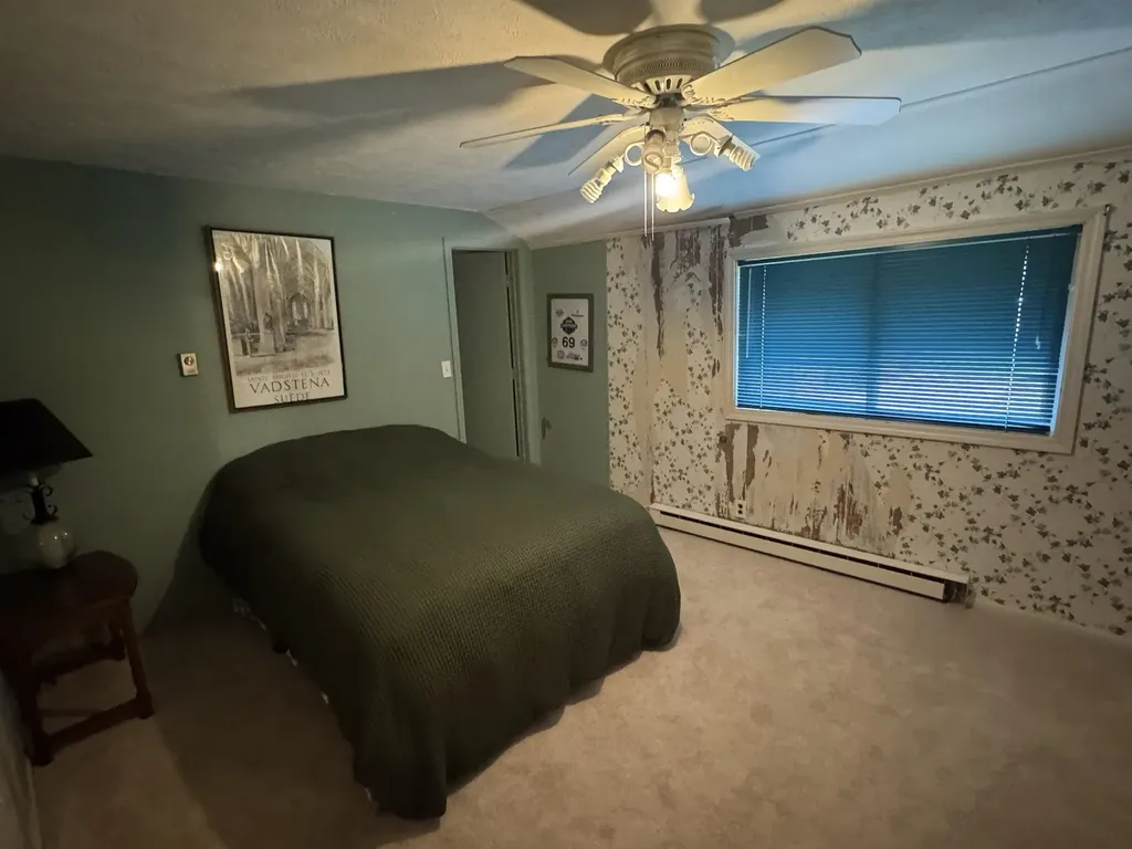 337 Henderson Court South Branch Township MI 49601