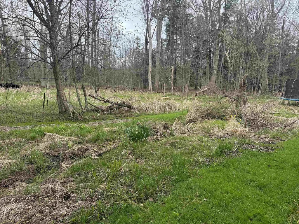 337 Henderson Court South Branch Township MI 49601