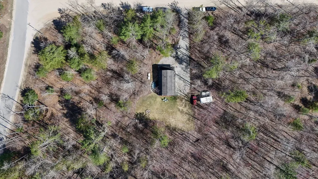 10518 Timberline Drive Star Township MI 49730