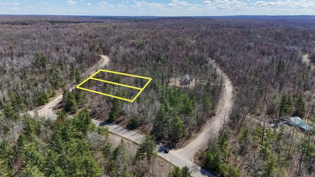 10518 Timberline Drive Star Township MI 49730
