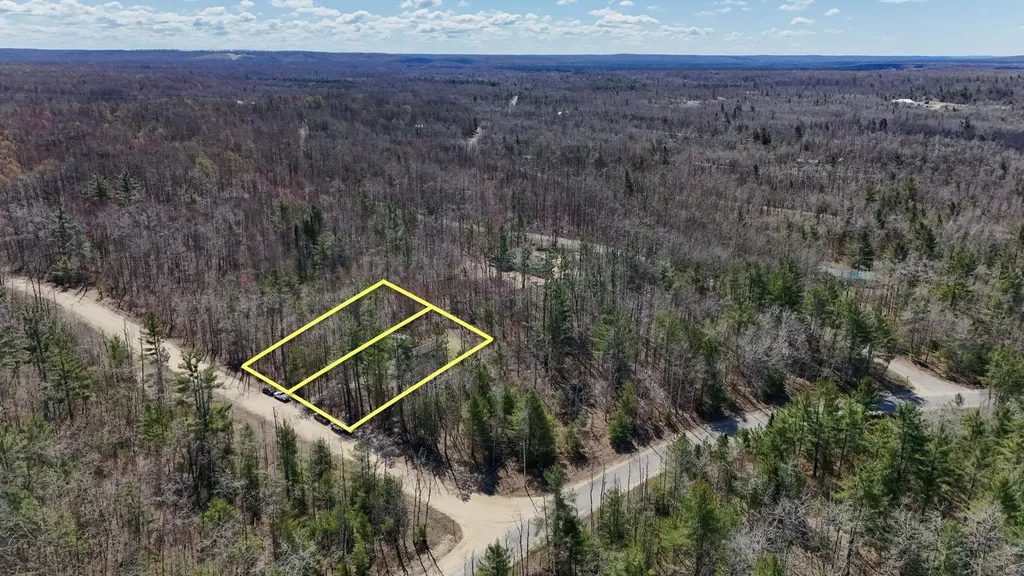 10518 Timberline Drive Star Township MI 49730