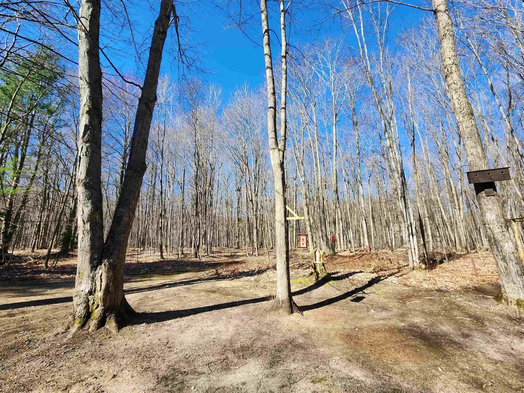 7512 Greenleaf Drive Mancelona Township MI 49659