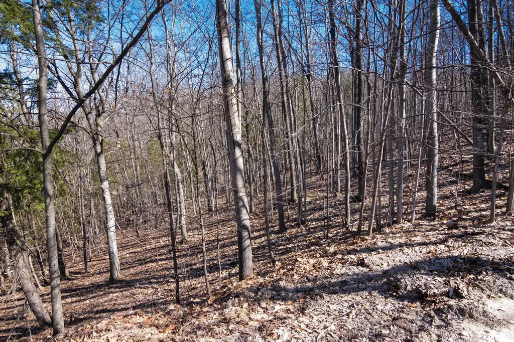 07 Creek Hill Drive Kearney Township MI 49615