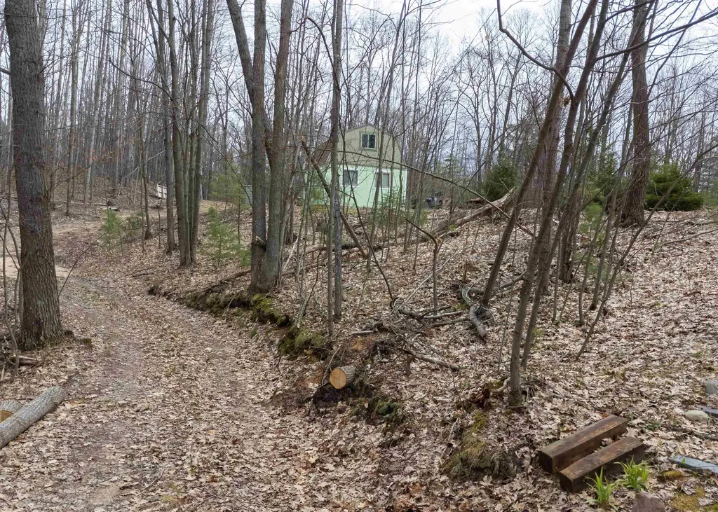 00 S 47 3/4 Road Haring Charter Township MI 49601
