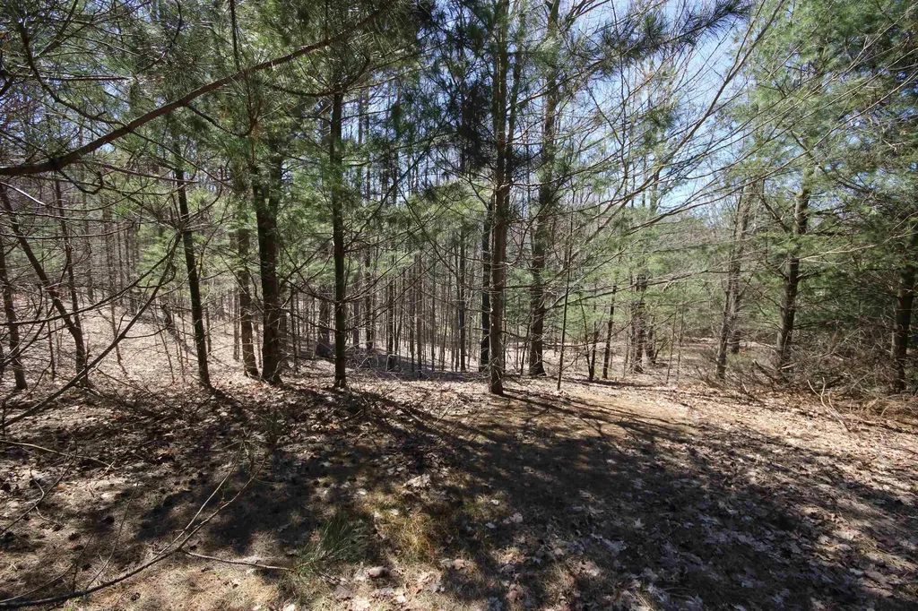 00 Maple View Drive Central Lake Township MI 49662