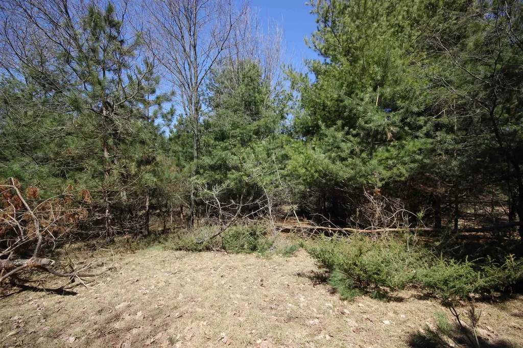 00 Maple View Drive Central Lake Township MI 49662