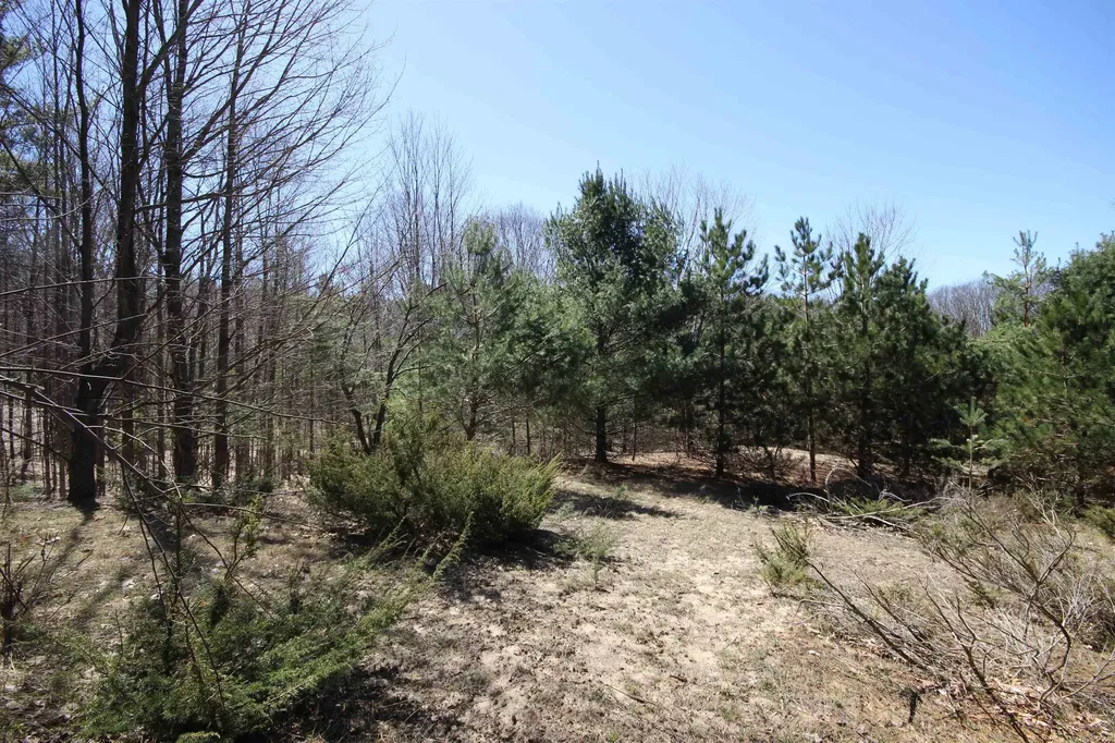 00 Maple View Drive Central Lake Township MI 49662